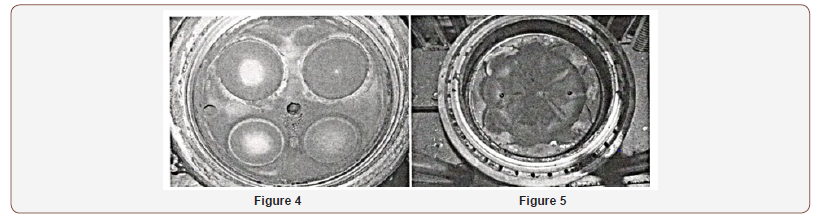 Click here to view Large Figure 4 irispublishers-openaccess-engineering-sciences