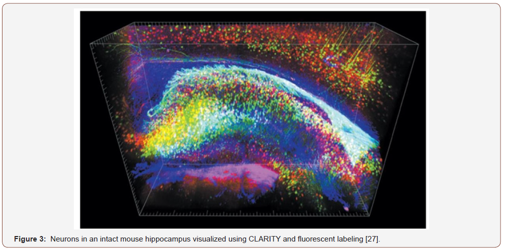 Click here to view Large Figure 3 irispublishers-openaccess-engineering-sciences