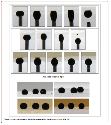 Click here to view Large Figure 1 irispublishers-openaccess-engineering-sciences
