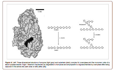 Click here to view Large Figure 4 irispublishers-openaccess-engineering-sciences