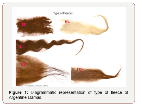 Click here to view Large Figure 1 irispublishers-openaccess-textile-science-fashion
