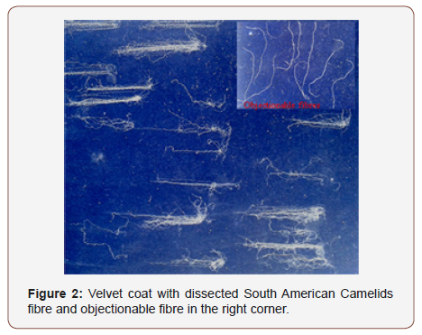 Click here to view Large Figure 2 irispublishers-openaccess-textile-science-fashion