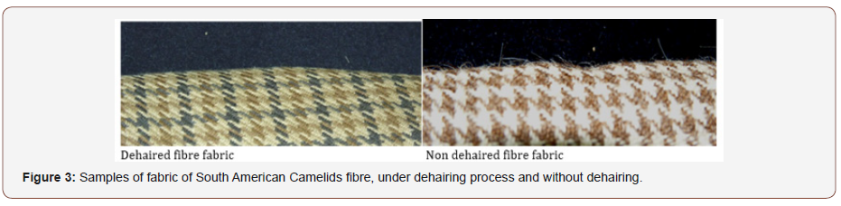 Click here to view Large Figure 3 irispublishers-openaccess-textile-science-fashion