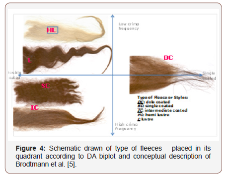 Click here to view Large Figure 4 irispublishers-openaccess-textile-science-fashion