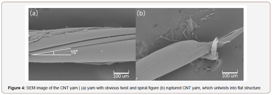 Click here to view Large Figure 4 irispublishers-openaccess-textile-science-fashion