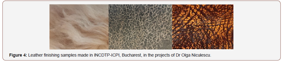 Click here to view Large Figure 4 irispublishers-openaccess-textile-science-fashion