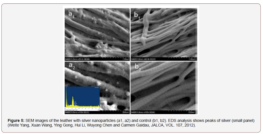 Click here to view Large Figure 5 irispublishers-openaccess-textile-science-fashion
