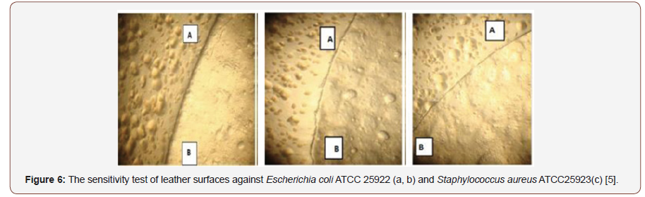 Click here to view Large Figure 6 irispublishers-openaccess-textile-science-fashion