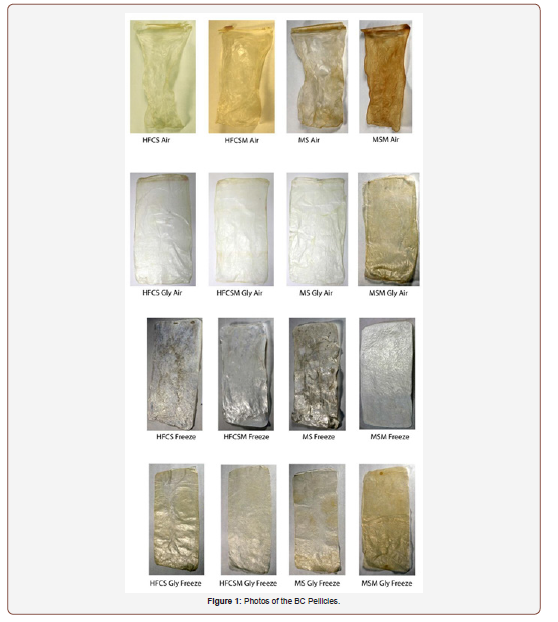 Click here to view Large Figure 1 irispublishers-openaccess-textile-science-fashion