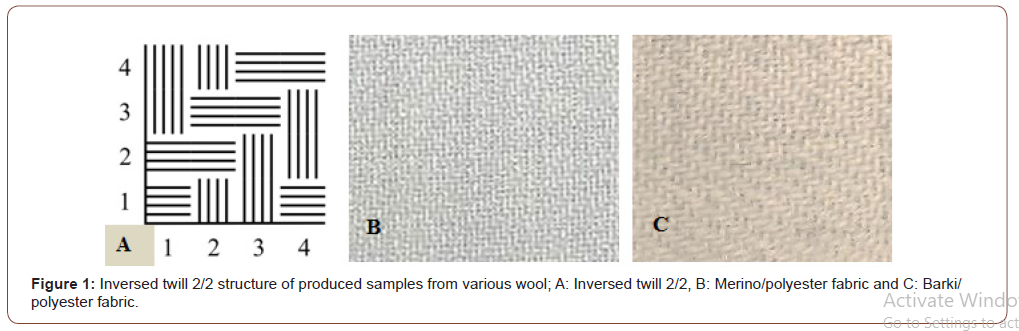 Click here to view Large Figure 1 irispublishers-openaccess-textile-science-fashion