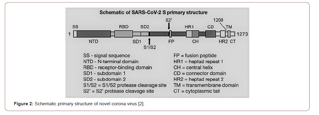 Click here to view Large Figure 2 irispublishers-openaccess-textile-science-fashion