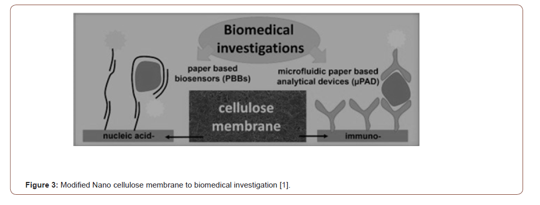 Click here to view Large Figure 3 irispublishers-openaccess-textile-science-fashion