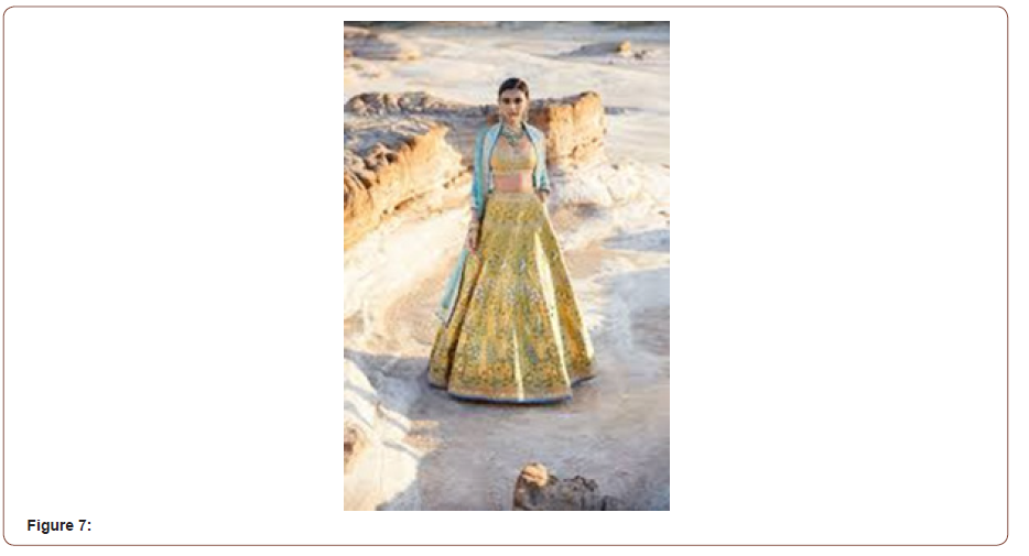 Click here to view Large Figure 7 irispublishers-openaccess-textile-science-fashion