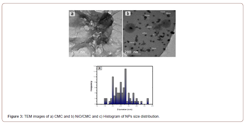 Click here to view Large Figure 3 irispublishers-openaccess-textile-science-fashion