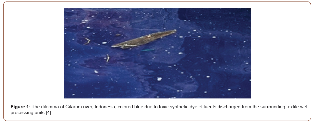Click here to view Large Figure 1 irispublishers-openaccess-textile-science-fashion
