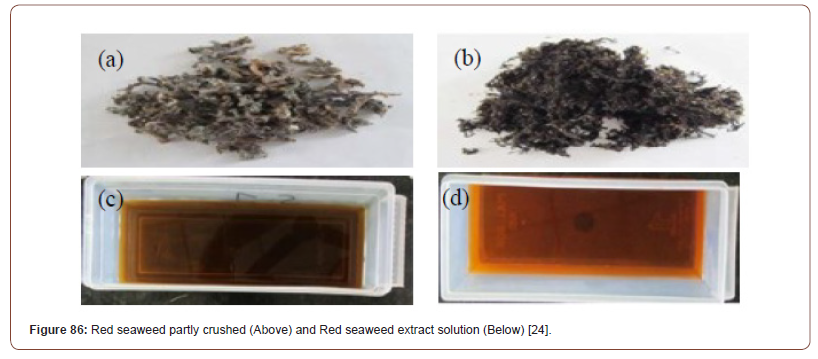 Click here to view Large Figure 25 irispublishers-openaccess-textile-science-fashion