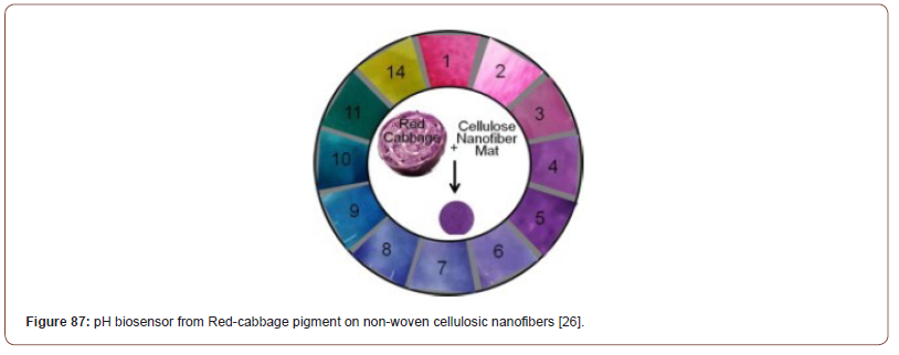 Click here to view Large Figure 26 irispublishers-openaccess-textile-science-fashion