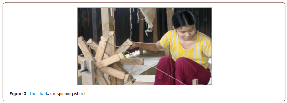 Click here to view Large Figure 3 irispublishers-openaccess-textile-science-fashion