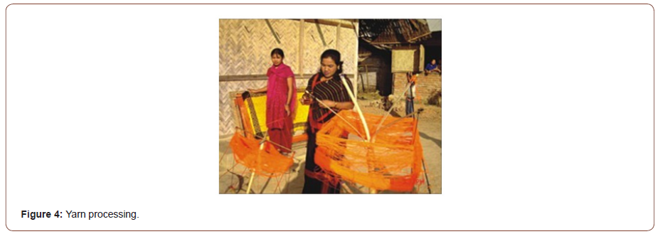 Click here to view Large Figure 4 irispublishers-openaccess-textile-science-fashion