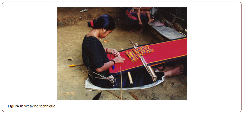 Click here to view Large Figure 6 irispublishers-openaccess-textile-science-fashion