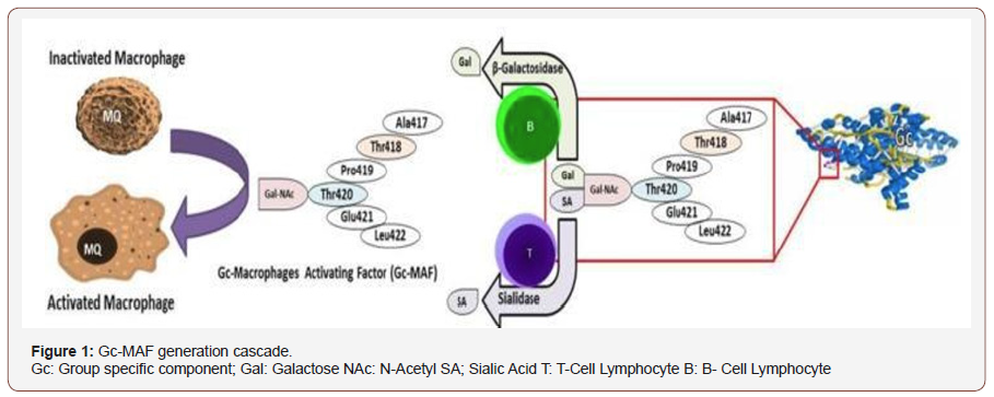 Click here to view Large Figure 1 irispublishers-openaccess-complementary-alternative-medicine