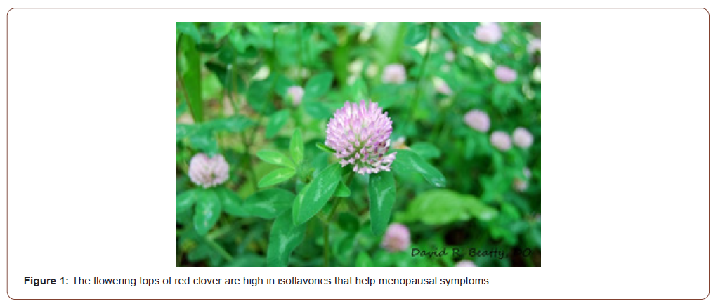 Click here to view Large Figure 1 irispublishers-openaccess-complementary-alternative-medicine