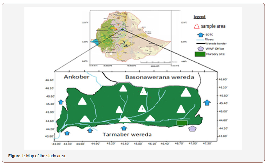 Click here to view Large Figure 1 irispublishers-openaccess-biology-life-science
