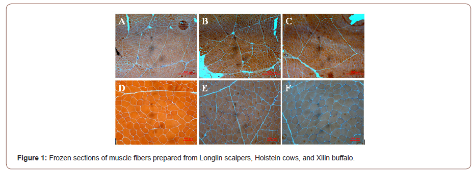 Click here to view Large Figure 1 irispublishers-openaccess-biology-life-science