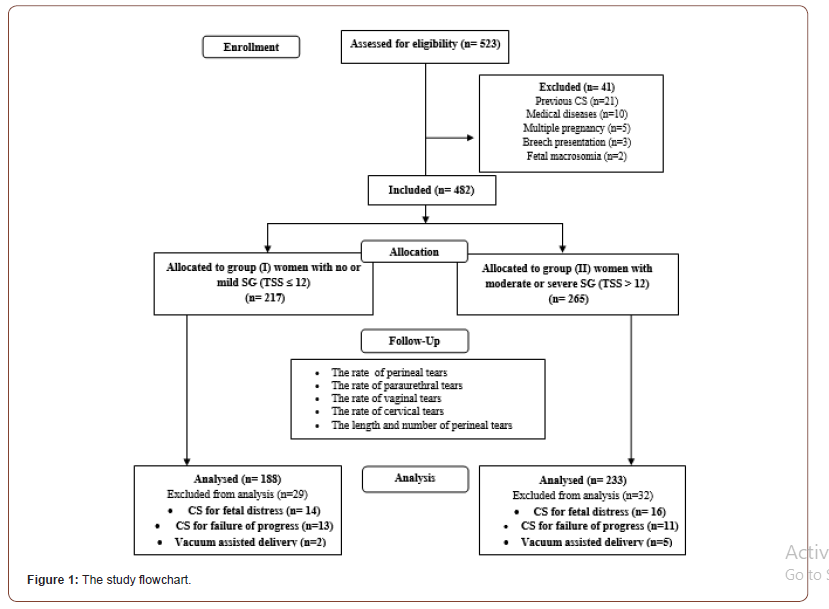 Click here to view Large Figure 1 irispublishers-openaccess-gynecology-womens-health