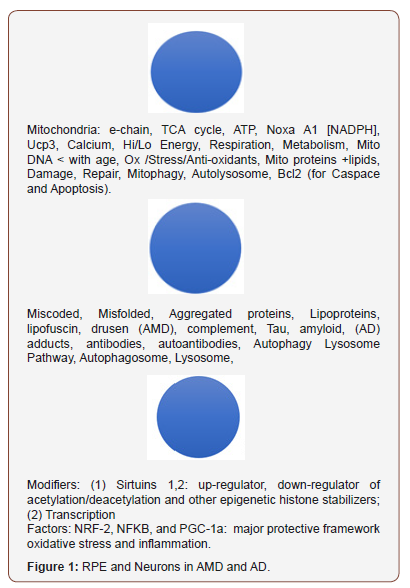 Click here to view Large Figure 1 irispublishers-openaccess-ophthalmology-vision-research