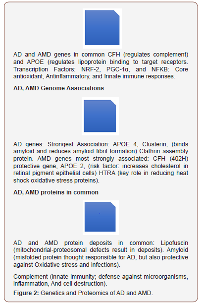 Click here to view Large Figure 2 irispublishers-openaccess-ophthalmology-vision-research